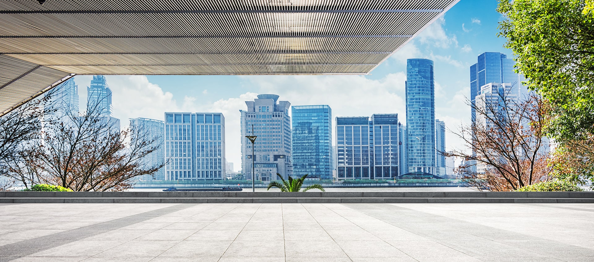 levene chartered surveyors